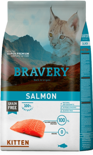 Bravery Kitten Salmón