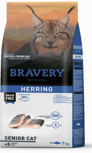 Bravery-cat-herring-senior.jpg