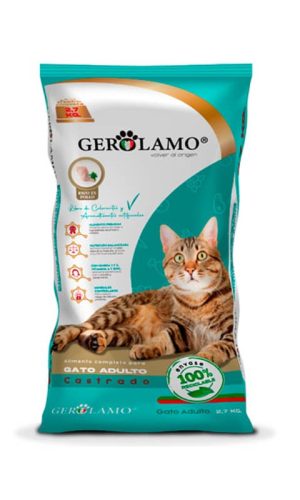 Gerolamo Gato Adulto Castrado